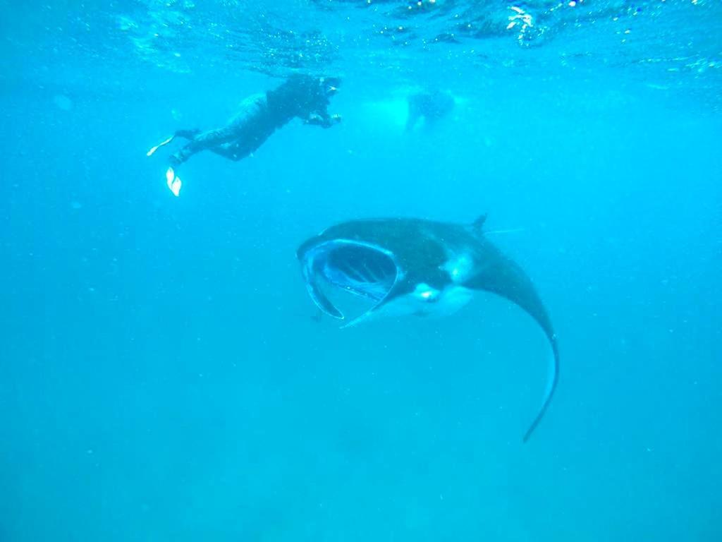White Tern Maldives Hotel Maamigili Екстериор снимка